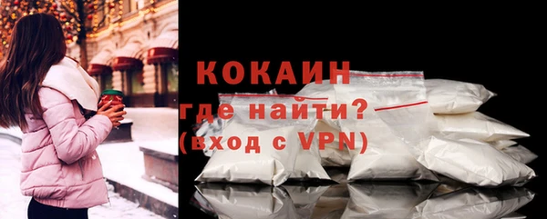 гашиш Богданович