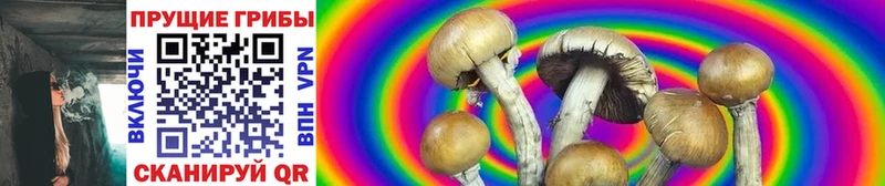нарко площадка клад  даркнет сайт  Омск  Галлюциногенные грибы Psilocybe 